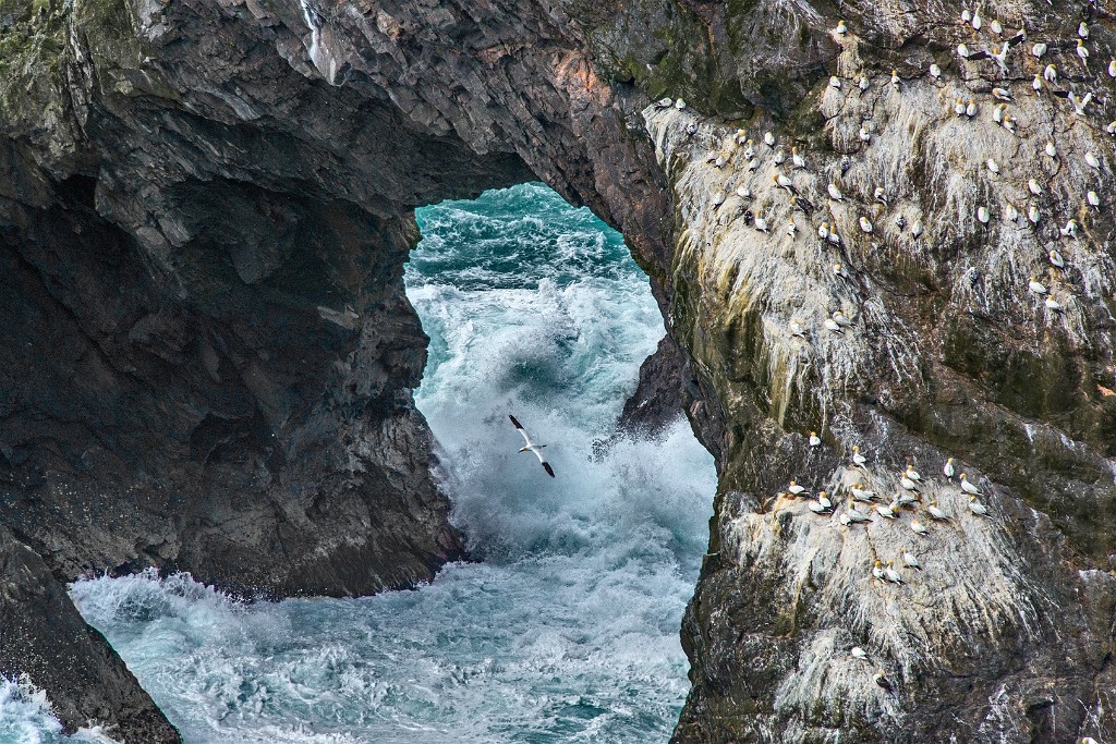 Shetland 344 copia